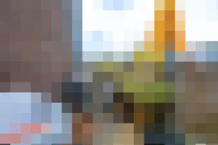 Egelantierstraat 82 Utrecht thumbnail 33