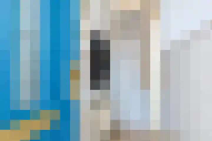 Egelantierstraat 82 Utrecht thumbnail 5