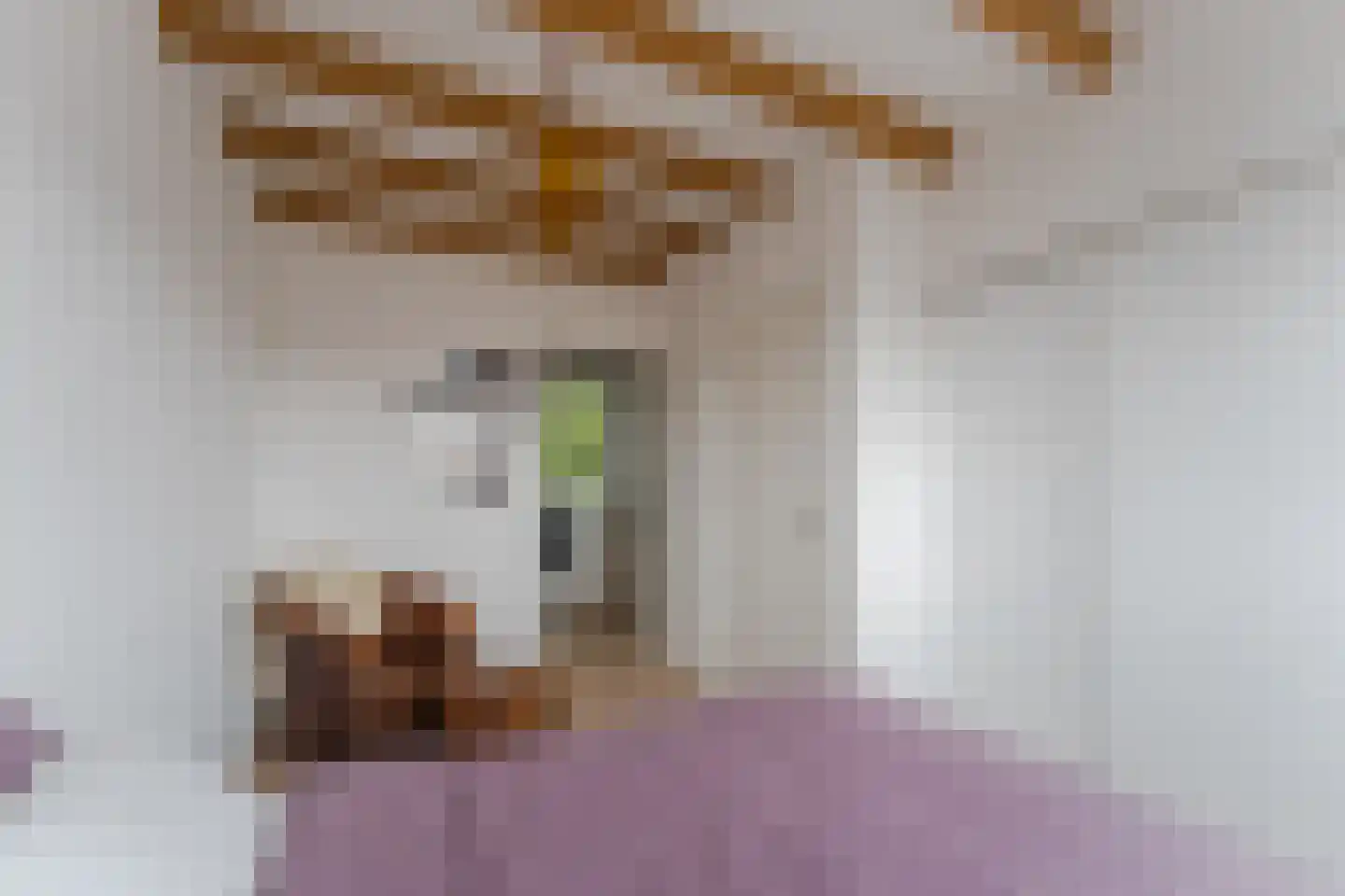 Egelantierstraat 90 Utrecht thumbnail 42