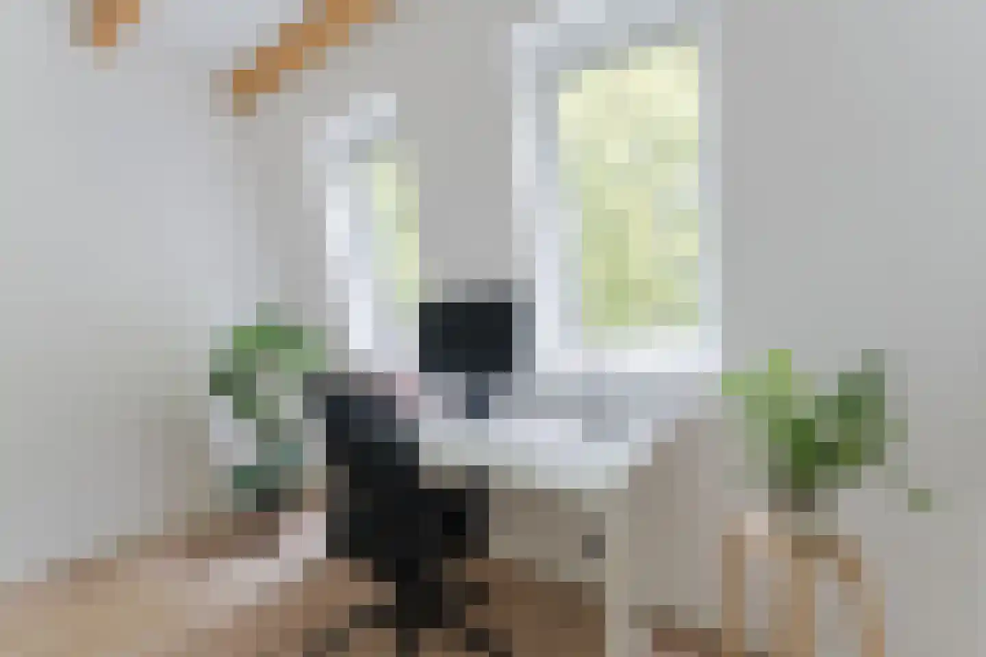 Egelantierstraat 90 Utrecht thumbnail 44