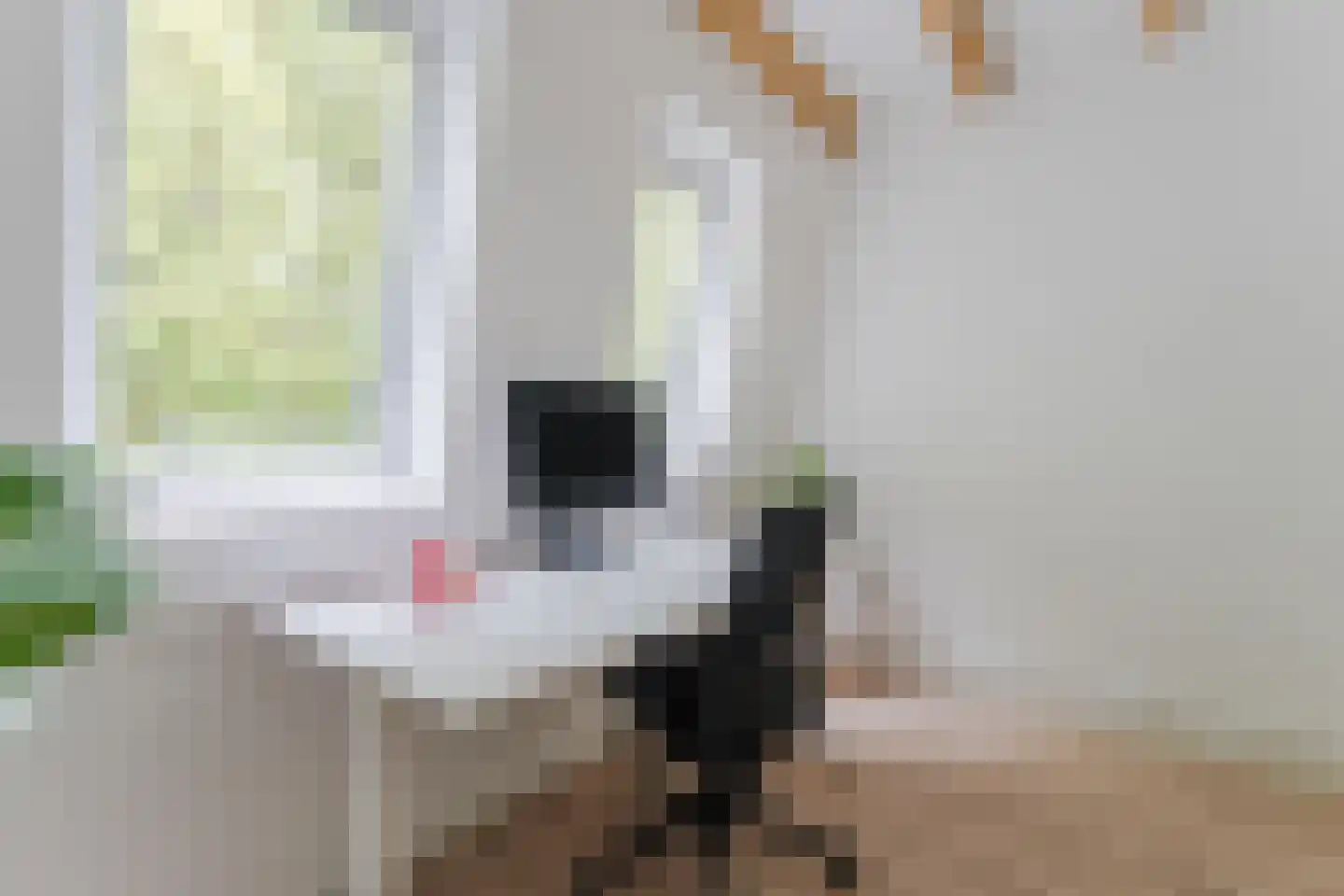 Egelantierstraat 90 Utrecht thumbnail 46