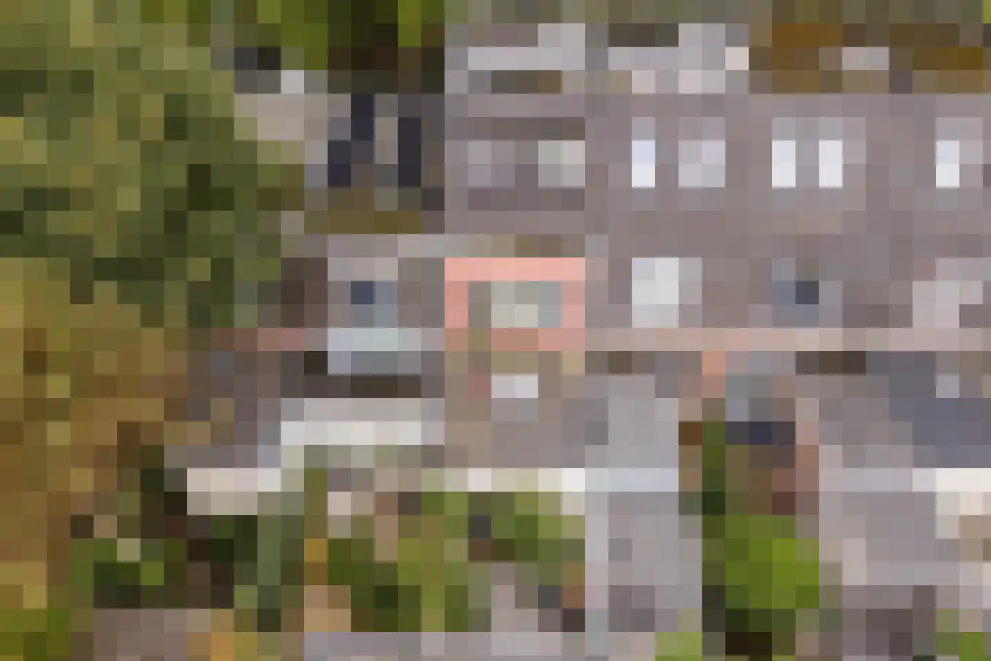 Egelantierstraat 90 Utrecht thumbnail 49