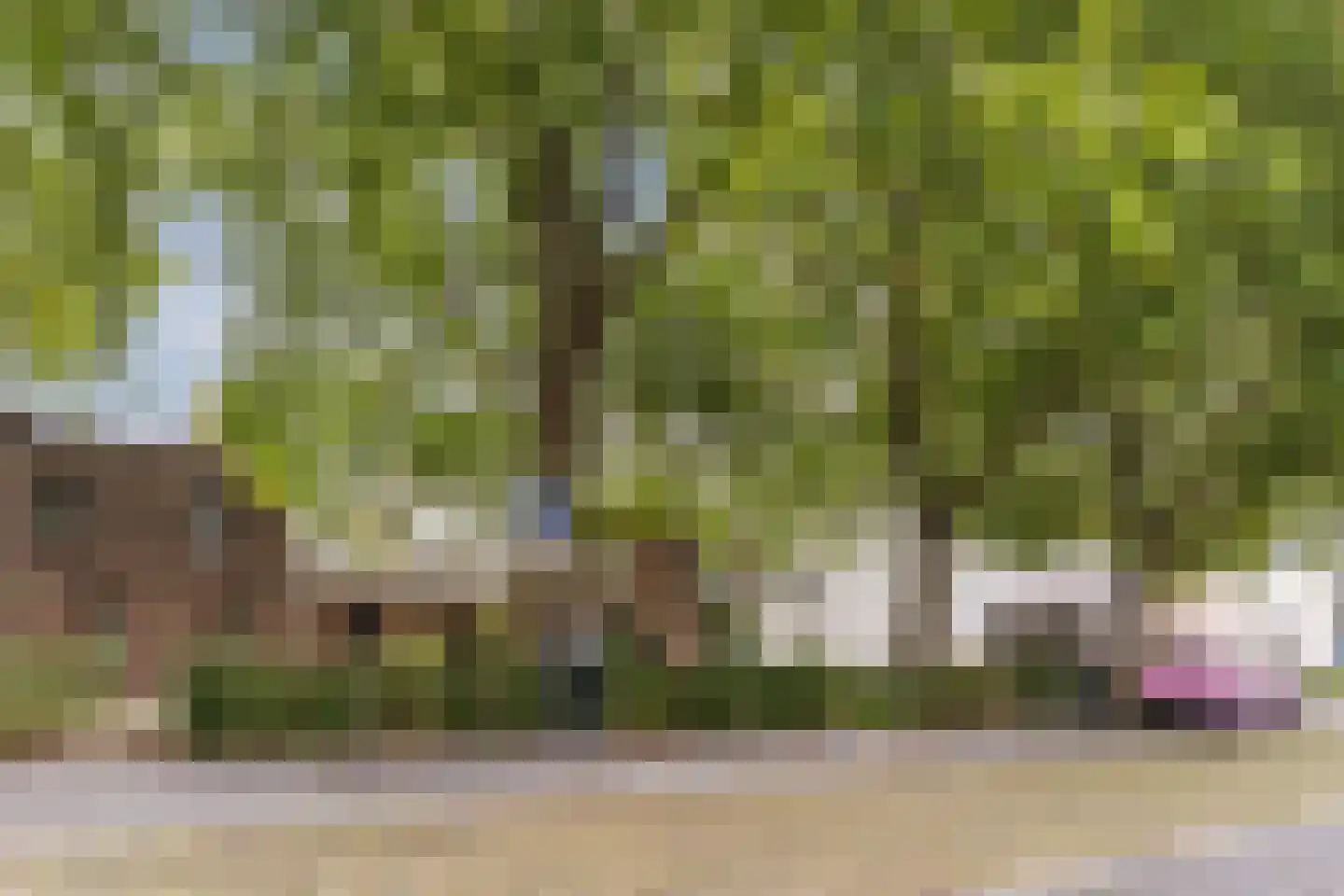 Egelantierstraat 90 Utrecht thumbnail 52