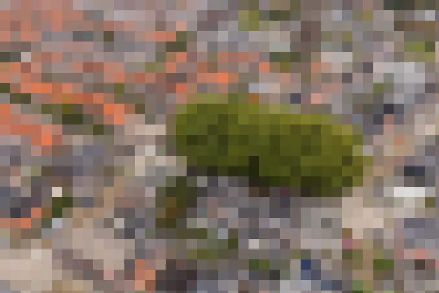 Egelantierstraat 90 Utrecht thumbnail 58