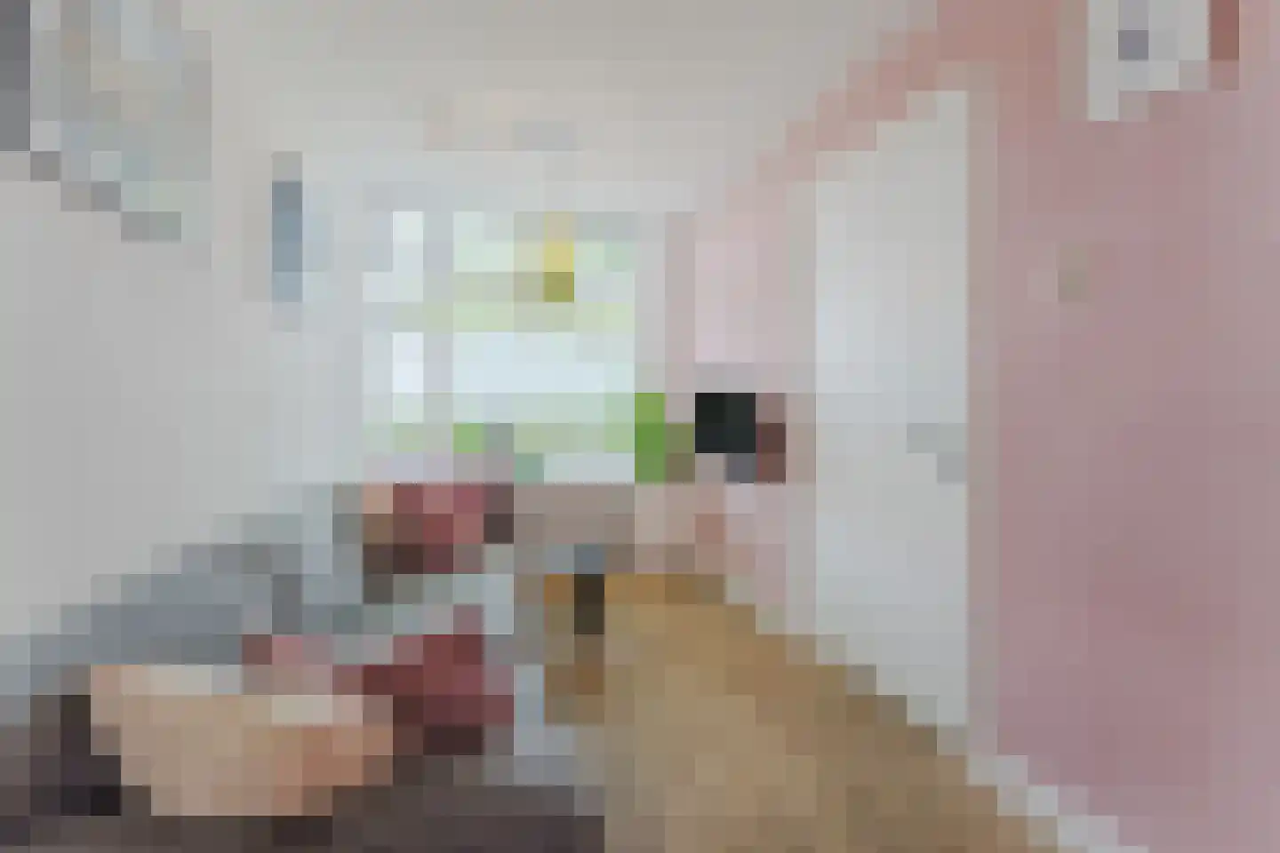 Egelantierstraat 90 Utrecht thumbnail 9