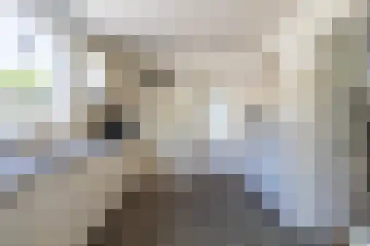 Egelenburg 15 Heiloo thumbnail 11