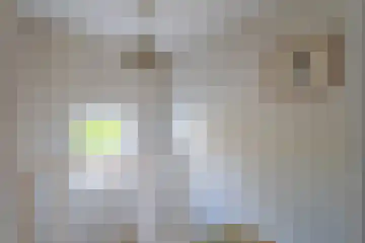 Egelenburg 15 Heiloo thumbnail 21