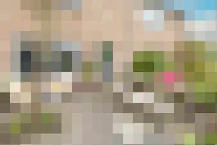 Egelenburg 22 Heiloo thumbnail 6