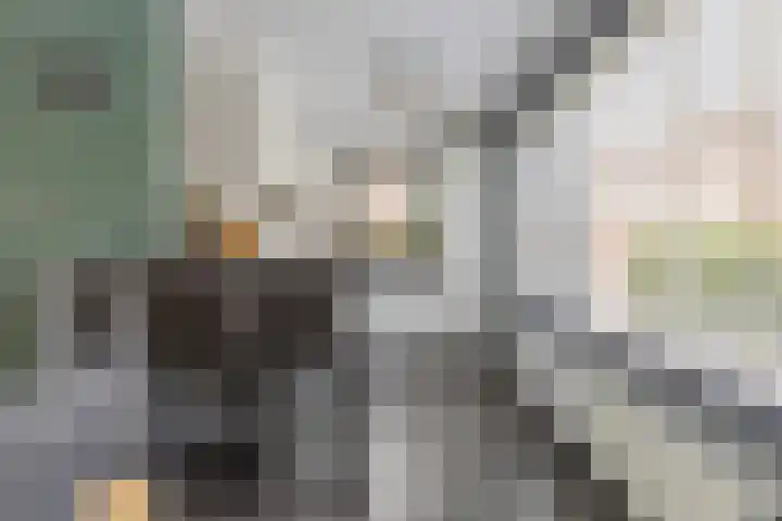Egelenburgh 4 Assendelft thumbnail 10