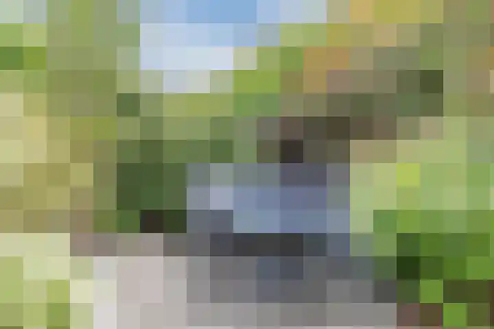 Egelenburgh 4 Assendelft thumbnail 33
