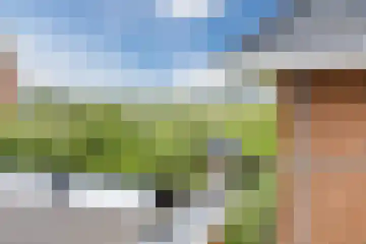 Egelenburgh 4 Assendelft thumbnail 36