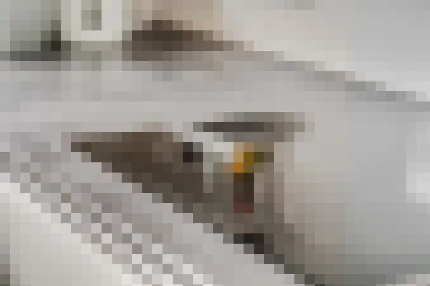Egelhof 13 Lunteren thumbnail 8