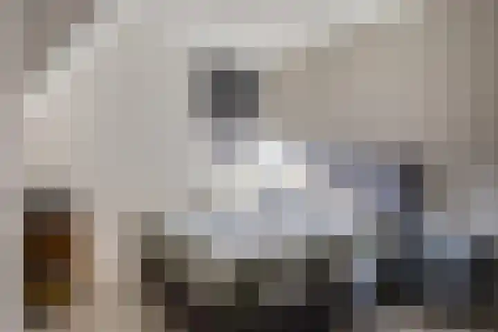 Egelhof 20 Lunteren thumbnail 19