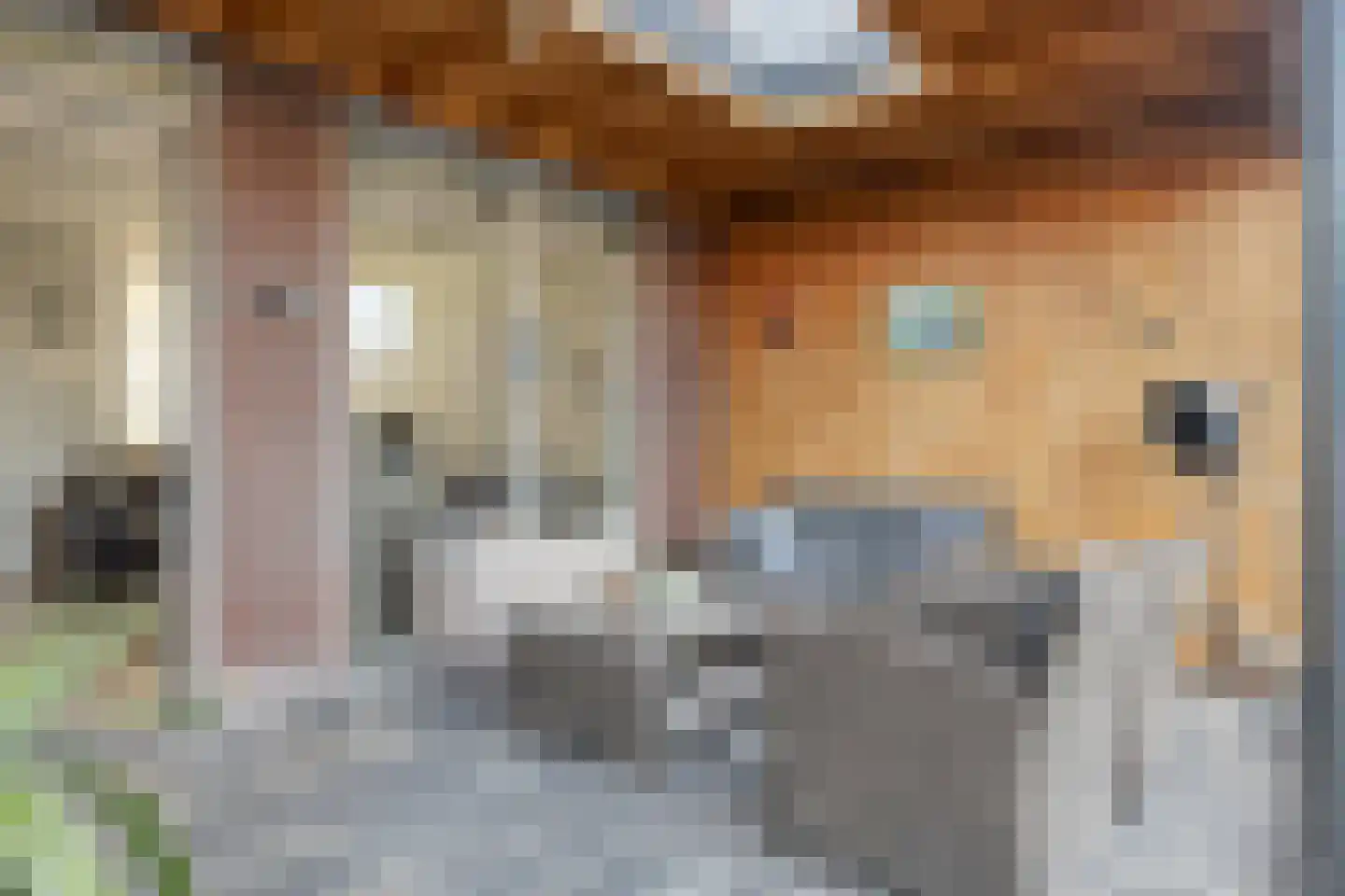 Egelhof 20 Lunteren thumbnail 23