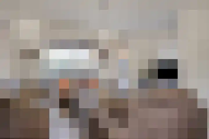 Egelhof 20 Lunteren thumbnail 8