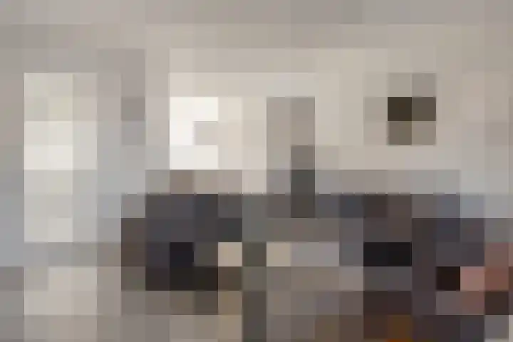 Egelhof 20 Lunteren thumbnail 9