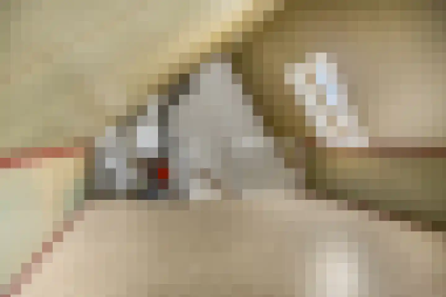 Egelhof 21 Lunteren thumbnail 24