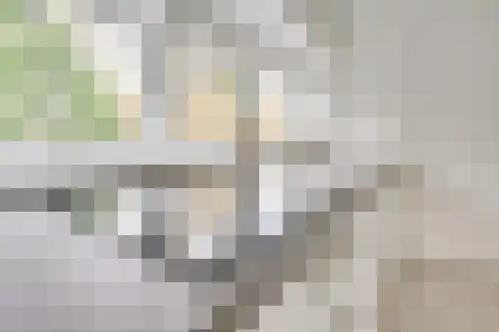 Egelinglaan 26 A Zeist thumbnail 12