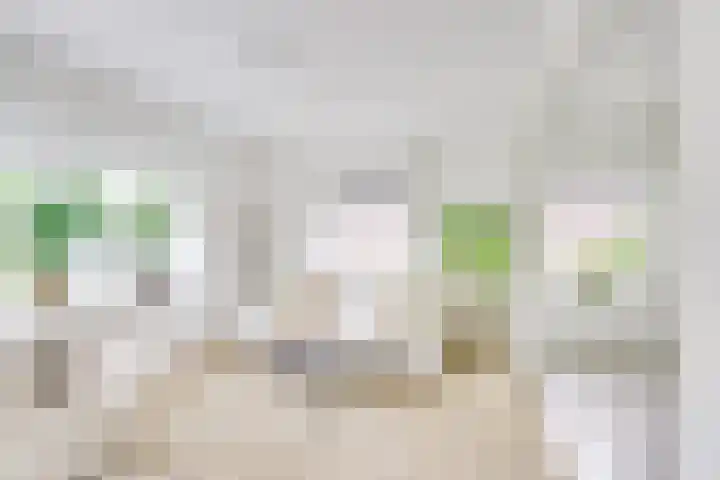 Egelinglaan 26 A Zeist thumbnail 6