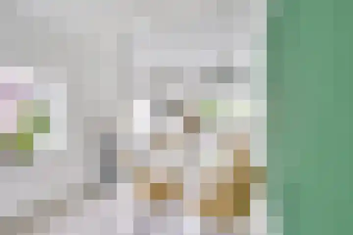Egelinglaan 26 A Zeist thumbnail 8