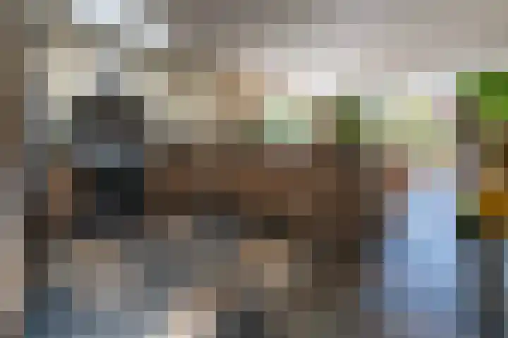 Egelinglaan 33 Zeist thumbnail 14