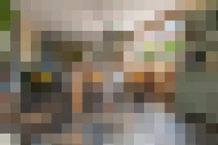 Egelinglaan 33 Zeist thumbnail 19
