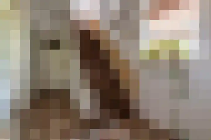 Egelinglaan 33 Zeist thumbnail 21