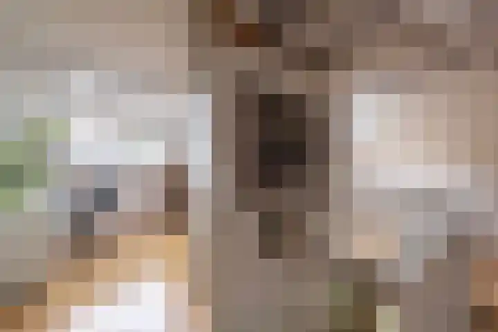 Egelinglaan 33 Zeist thumbnail 28