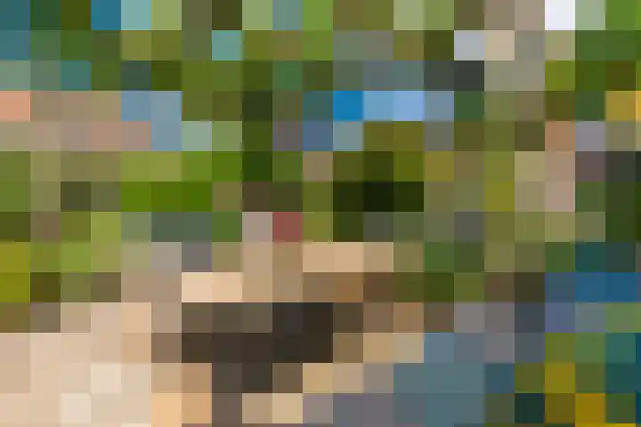 Egelinglaan 33 Zeist thumbnail 32