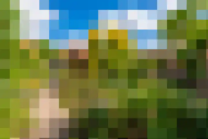 Egelinglaan 33 Zeist thumbnail 33