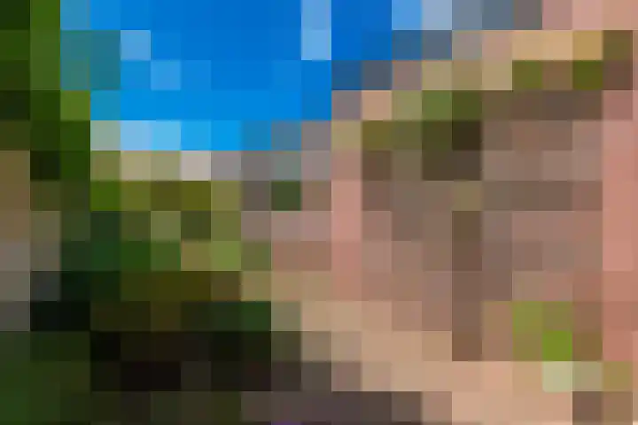 Egelinglaan 33 Zeist thumbnail 34