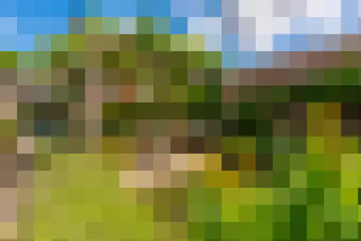 Egelinglaan 33 Zeist thumbnail 39
