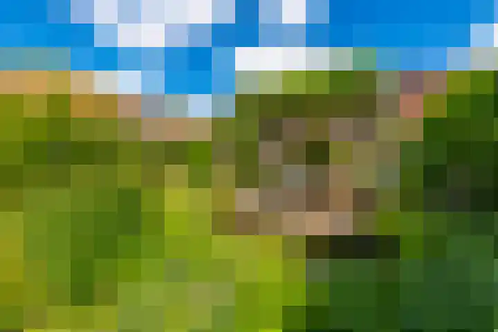Egelinglaan 33 Zeist thumbnail 40