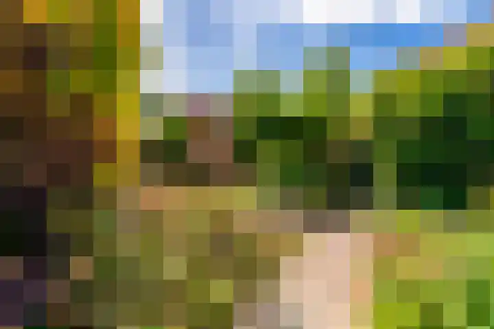 Egelinglaan 33 Zeist thumbnail 41