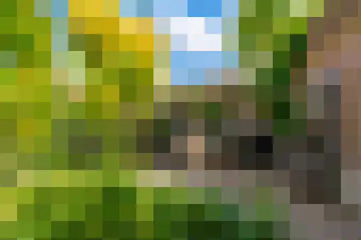 Egelinglaan 33 Zeist thumbnail 42