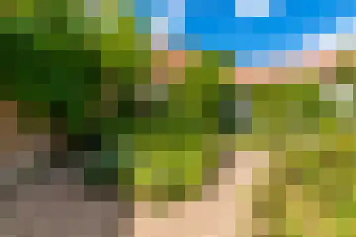 Egelinglaan 33 Zeist thumbnail 43