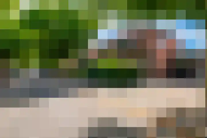 Egelinglaan 33 Zeist thumbnail 45