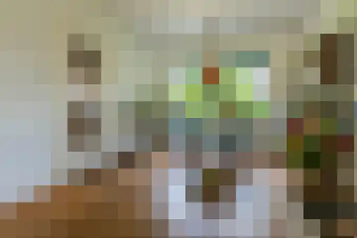Egelinglaan 33 Zeist thumbnail 9
