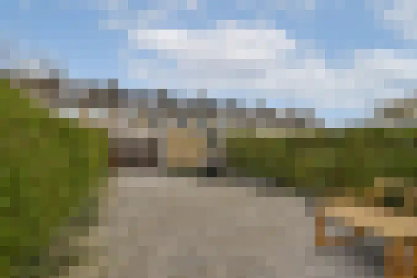 Egelkruid 10 Rotterdam thumbnail 11