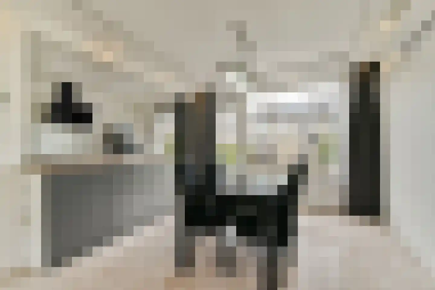 Egelkruid 10 Rotterdam thumbnail 7