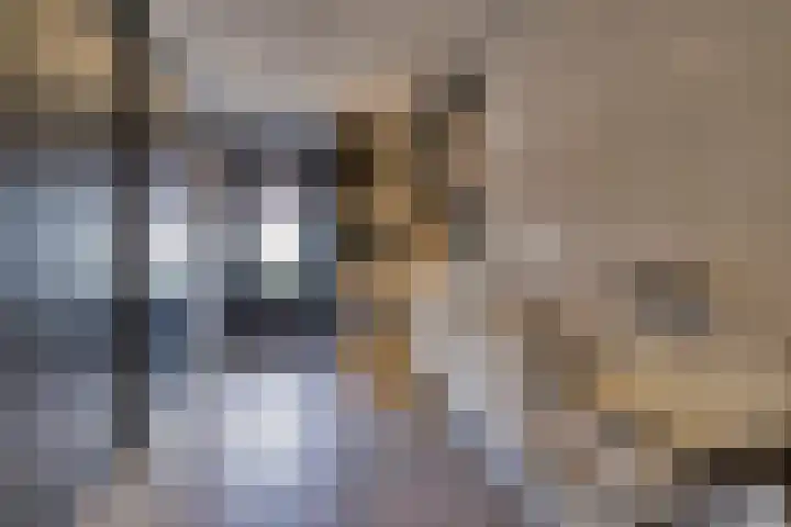 Egellaan 22 Veenendaal thumbnail 18