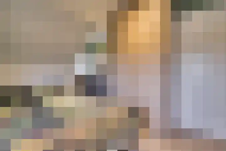 Egellaan 22 Veenendaal thumbnail 32