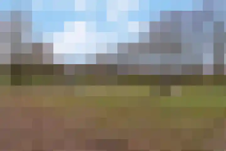 Egellaan 22 Veenendaal thumbnail 42