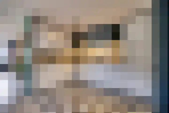Egellaan 22 Veenendaal thumbnail 9