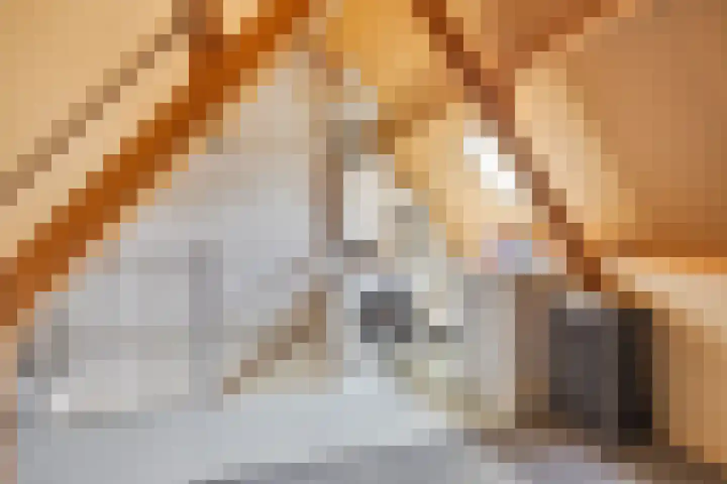 Egellaan 7 Veenendaal thumbnail 21