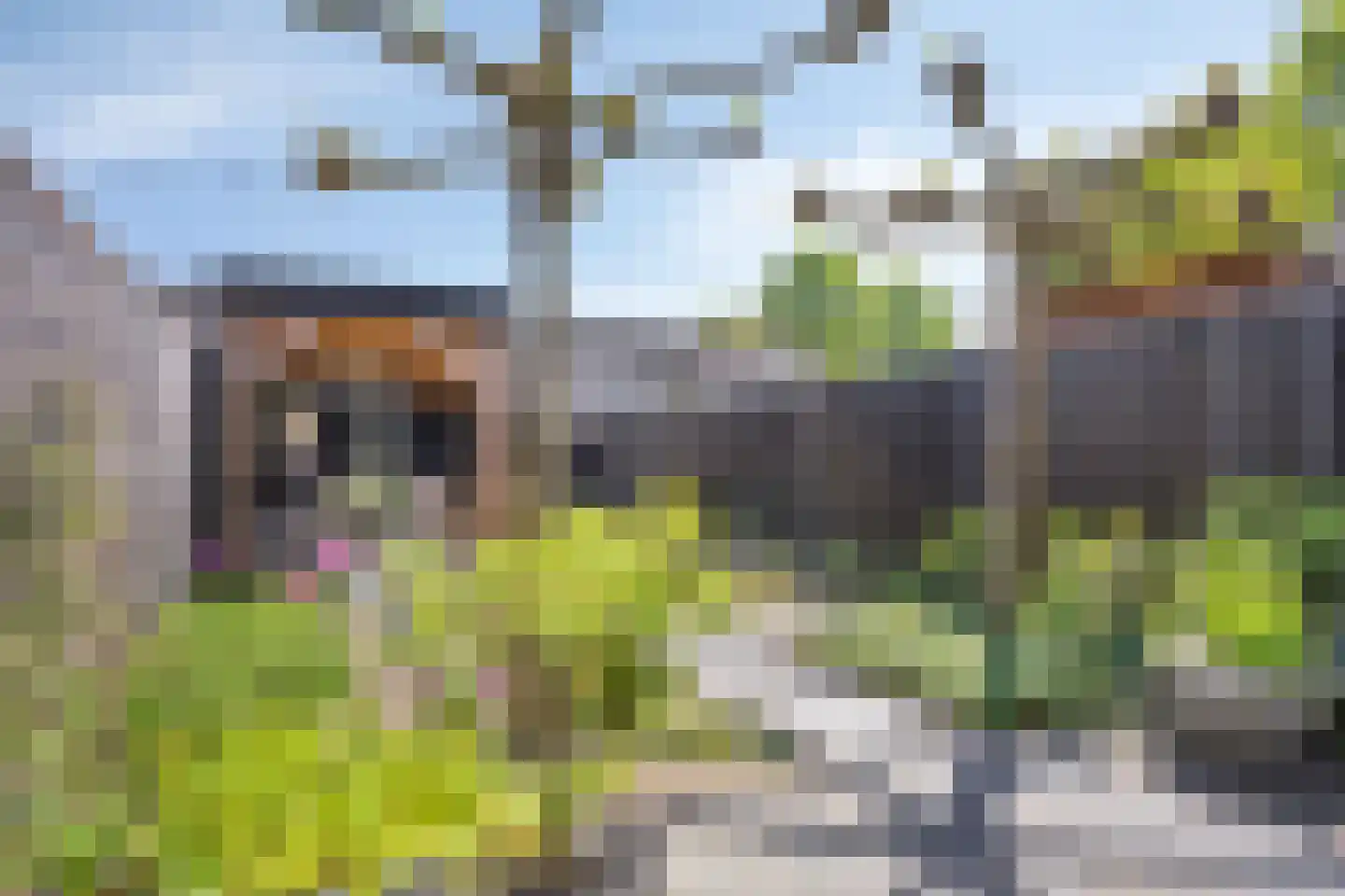 Egellaan 7 Veenendaal thumbnail 23