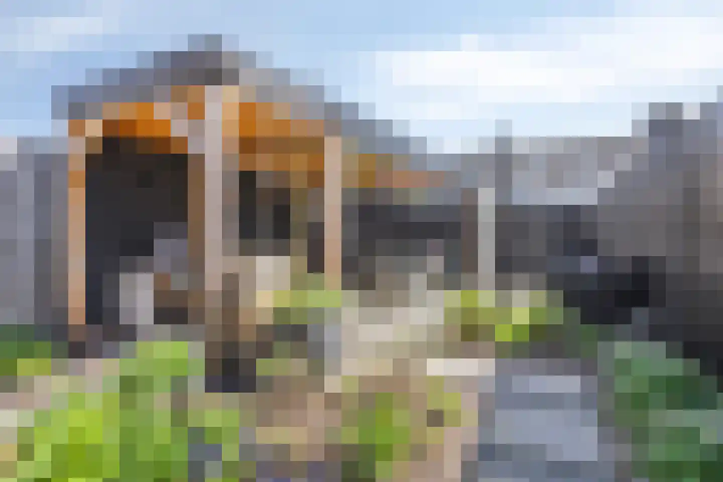 Egellaan 7 Veenendaal thumbnail 25
