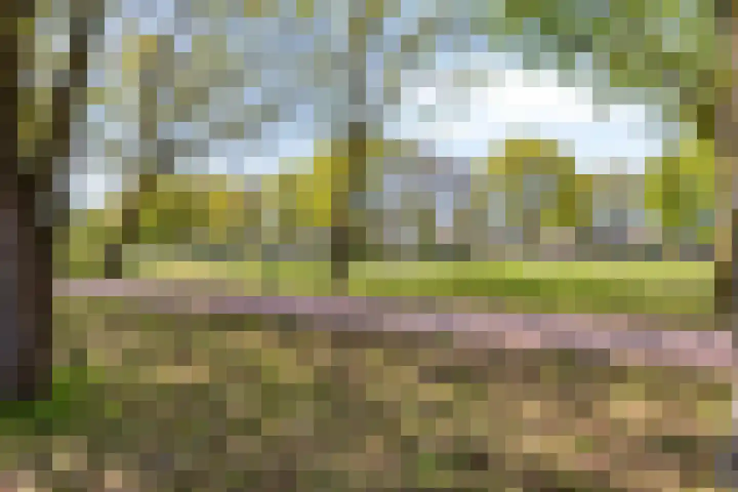 Egellaan 7 Veenendaal thumbnail 34