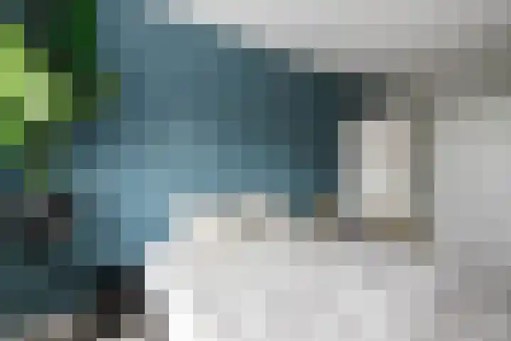 Egelnest 1 Moordrecht thumbnail 17