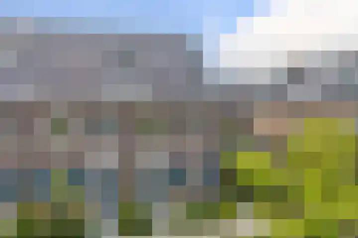 Egelnest 1 Moordrecht thumbnail 4